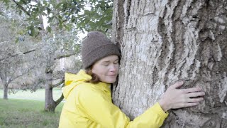 Tree Hugging