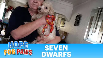Their owner died unexpectedly, and their future was unknown. 😨