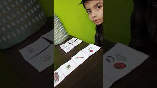 Language pink level , picture cards and word cards.