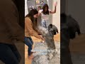 Dog Reacts To a Round of Applause