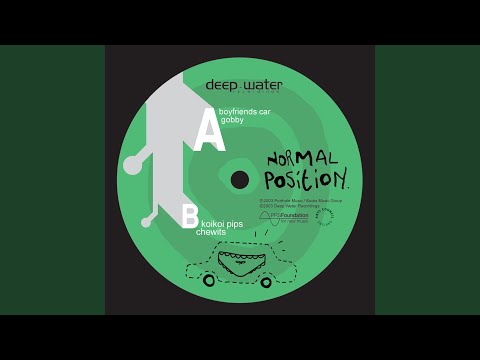 Normal Position — Koi Koi Pips
