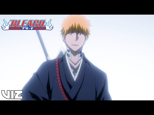 VIZ  See Bleach, Set 13