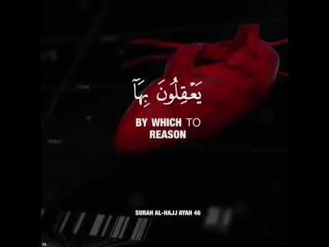 أفلم يس ير وا في ال أ ر ض فت ك ون ل ه م ق ل وب يع ق ل ون ب ه ا أ و آذ ان ي س م ع ون ب ه ا