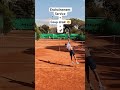 L’enchaînement qui fait mal 🤯#tennis #tennisplayer #tennistraining #tennislife