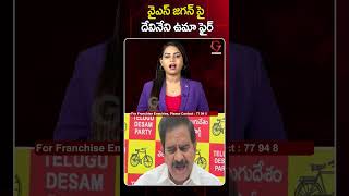వైఎస్ జగన్ పై దేవినేని ఉమా ఫైర్..! | TDP Devineni Uma Fires on YS Jagan Comments | G7 News