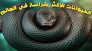 حيوانات عندما تراها لابد من الفرار & Animals when you see them must flee