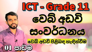 HTML Part 01 | ICT Grade 11| Web Designing | Introduction