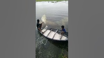 Using lime in pond for water preparation🐟🐠#fishing #fish #youtubeshorts #youtuber #bangladesh