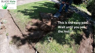 This yard needs to be seen to be believed   HUGE yard clean up Part 1