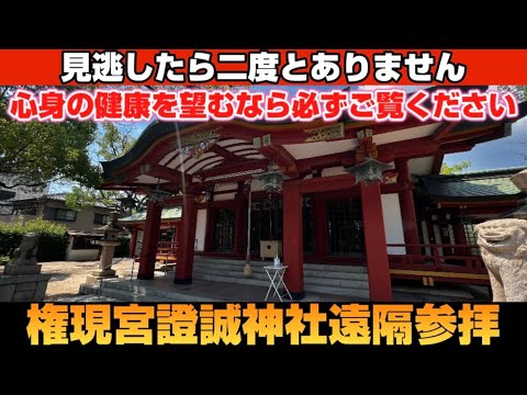 【見るだけで病気平癒✨】※この動画に辿り着いたとき貴方の心身の健康が約束されます🌈【権現宮證誠神社】