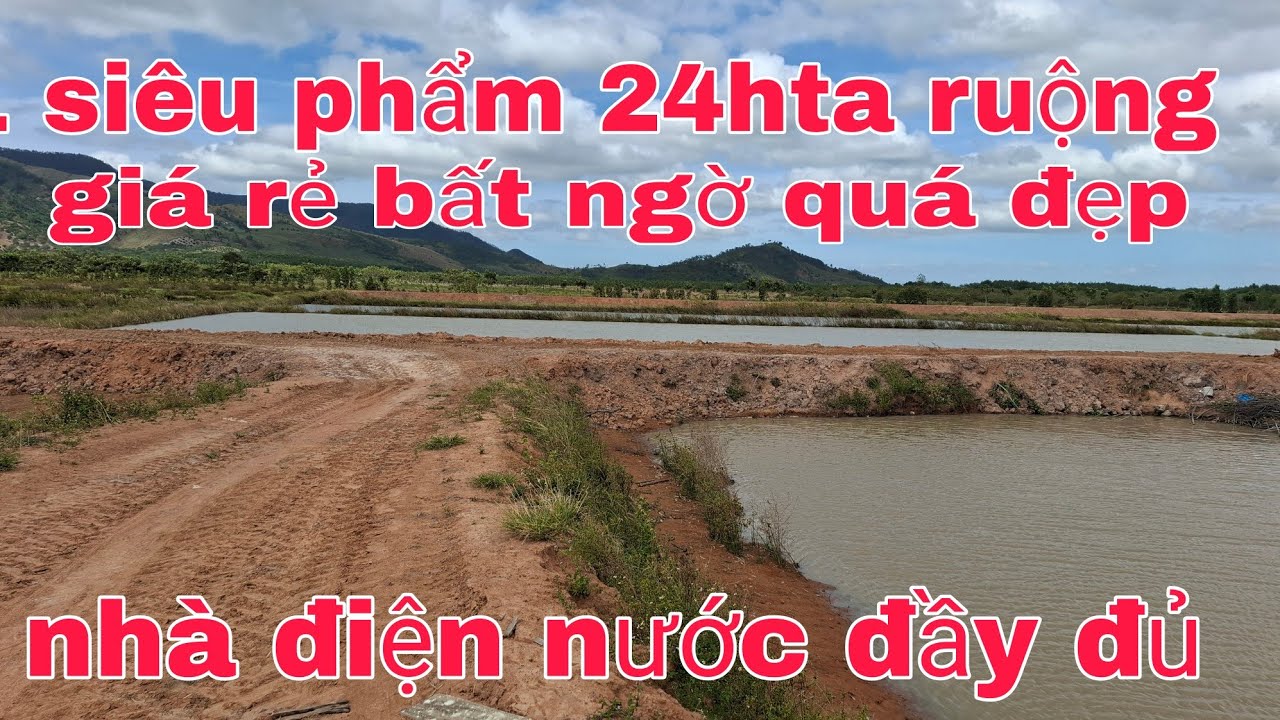 Bán 20hta ruộng cực kì đẹp giá rẻ nhà điện nước đầy đủ làm được bìa ac quan tâm lh 0905351444