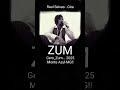 # - Shorts - Raul Seixas - Gita - Gero_Zum...