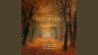 Goldberg Variation, BWV 988: 25