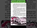 जंगलतालि एक सायंकाळ | शाळेचे दिवस | जुने दिवस | #youtubeshorts #oldmemories #schooldays #गोडगोडआठवणी