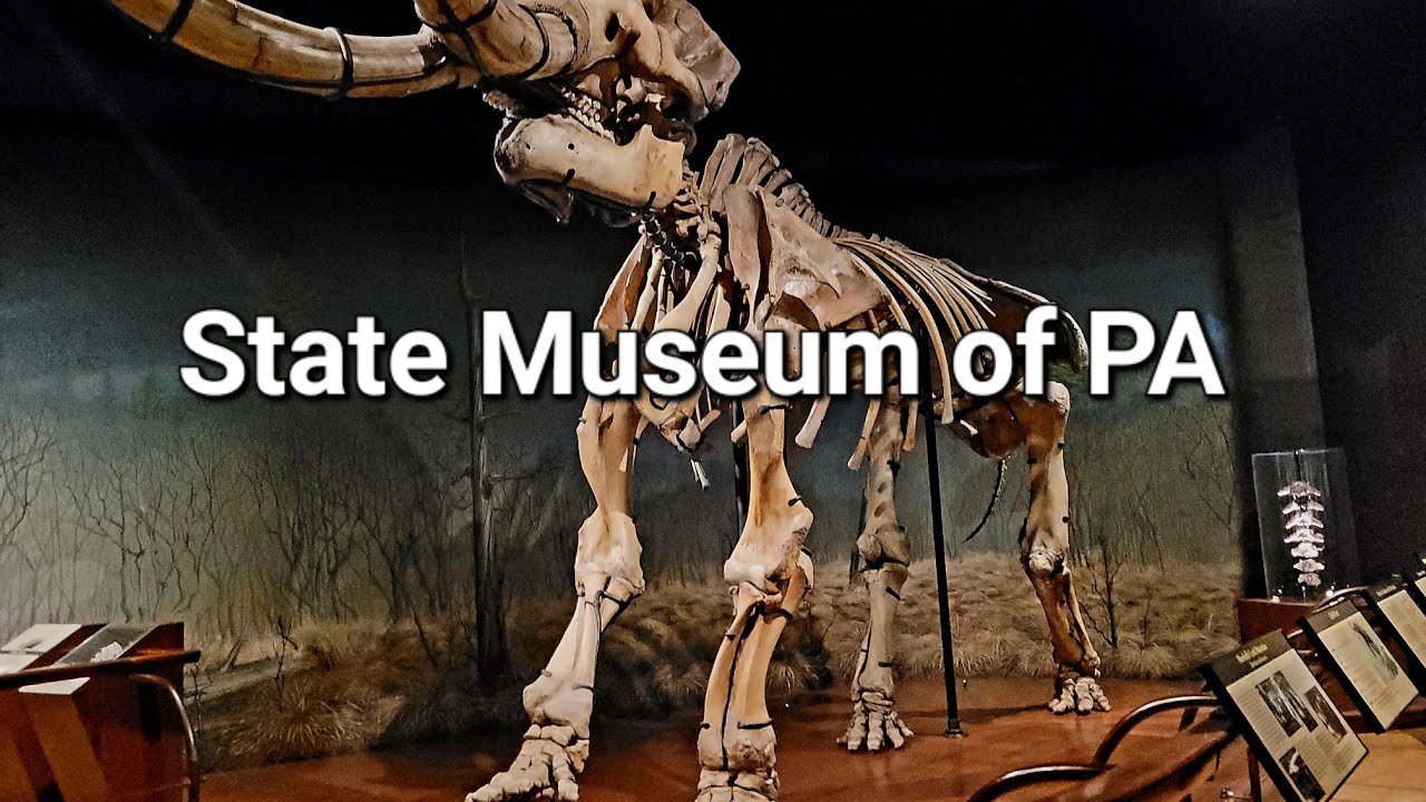 State Museum of Pennsylvania | Museum Tour