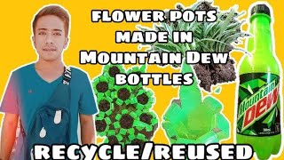 Flower pots made in Mountain Dew plastic bottles