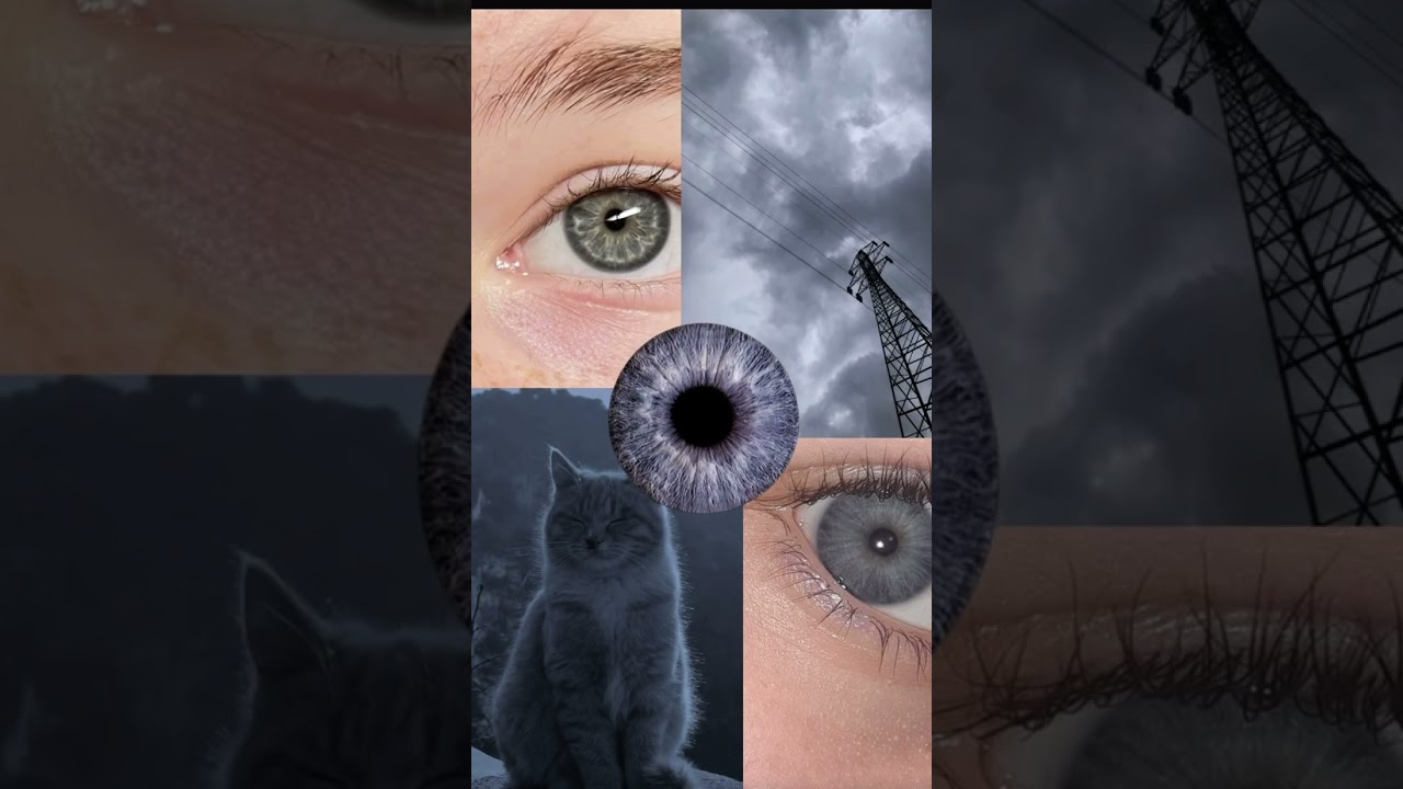 Blue eyes+gray eyes=blue-gray eyes 