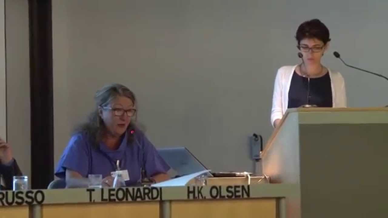 IFLA Satellite meeting 2014 - Part 2