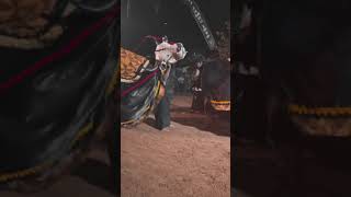 bantengan bantenganmalang  masukberanda bantenganmalangraya bantengannuswantara