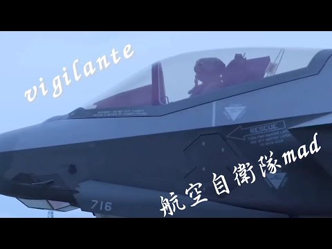 vigilante (航空自衛隊mad)