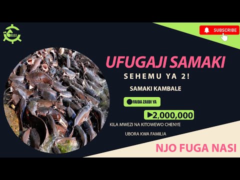 Video: Mimea Ya Samaki