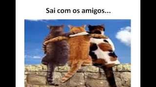 Dia Do diretor