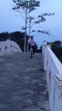 Gigolo tante girang