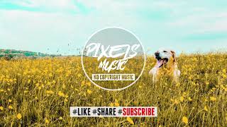 Markvard - Feel My Love ( No Copyright Music )