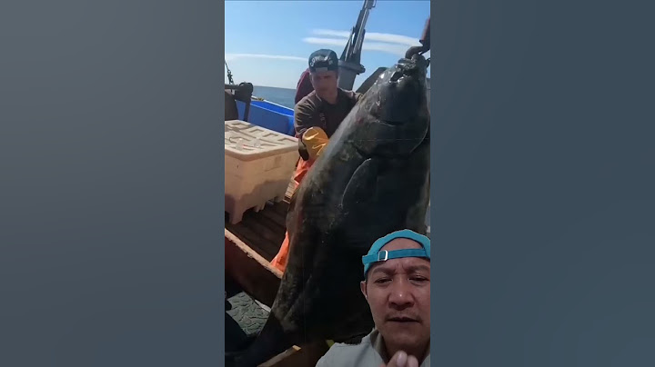 Huge Alaskan halibut. Biggest fish of season #halibut #fish #alaska #ocean #shortvideo #shorts