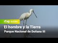 El hombre y la tierra: Capítulo 95 - Parque nacional de Doñana III | RTVE Archivo