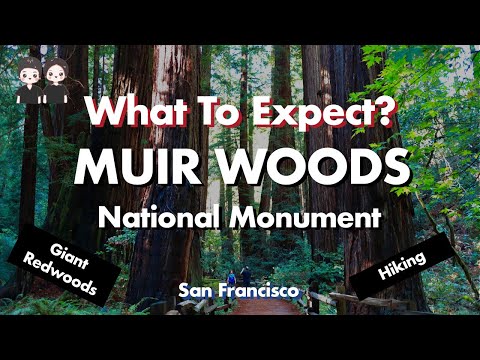 Vídeo: Muir Woods National Monument: La guia completa