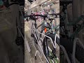 MOUNTAIN BIKES 90% OFF AT WALMART
