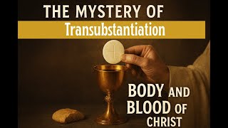 Transubstantiation How Bread And Wine Become The Body And Blood Of Christ Catholic Doctrine