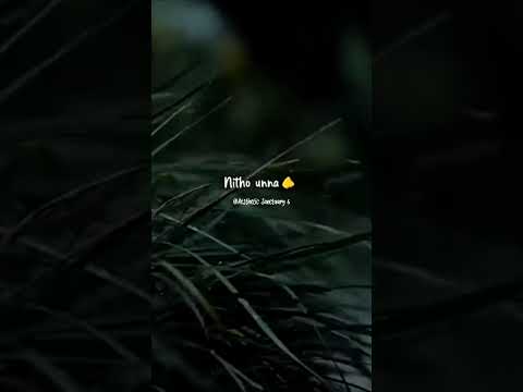 Saradaga Kasepaina Song Female Lyrics Paagal Movie