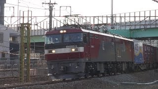 EH500-5牽引3087ﾚと前後の貨物列車　府中本町　2019/02/14