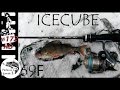 Tict Icecube #172