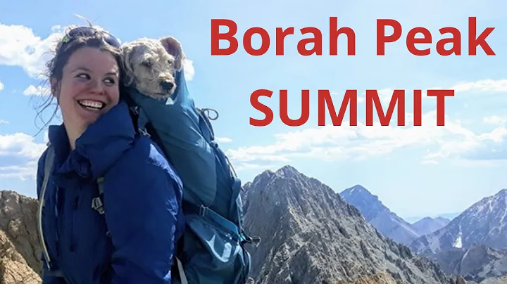 Borah Peak Hike | Highest peak in Idaho!