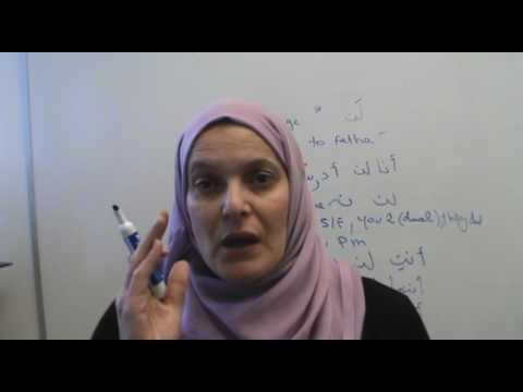 How to Negate with verbs in Arabic ( Present, future and past tense Negation) Lesson #04