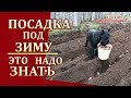 ПОСАДКА  ПОД ЗИМУ- , ЛУК,ЧЕСНОК ,КАРТОФЕЛЬ ,ТОМАТЫ,  ЗЕЛЕНЬ СВЕКЛА,МОРКОВЬ-СРОКИ,ПОДГОТОВКА ГРЯДКИ..