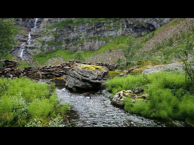 Mountain stream with subtle bird sounds class=