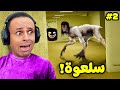 الغرف الخلفية كائنات غريبه مرعبة Escape The Backrooms 