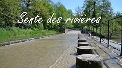 🐶 TOUTOU VADROUILLE : EN NORMANDIE ♥ 🐾 - #3 Sente des rivières (Montivilliers 76290)
