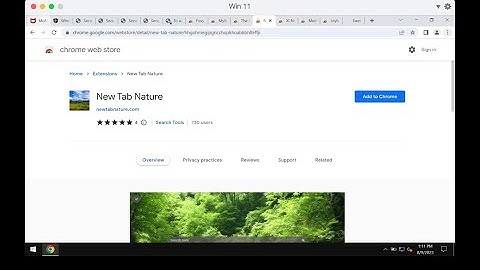 New Tab Nature browser-hijacking extension removal.