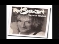 Rod Stewart   Forever Young