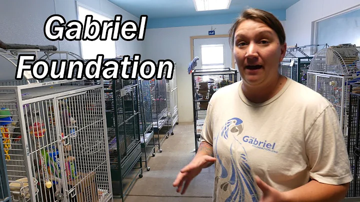 Tour of the Gabriel Foundation - Parrot Rescue, We...