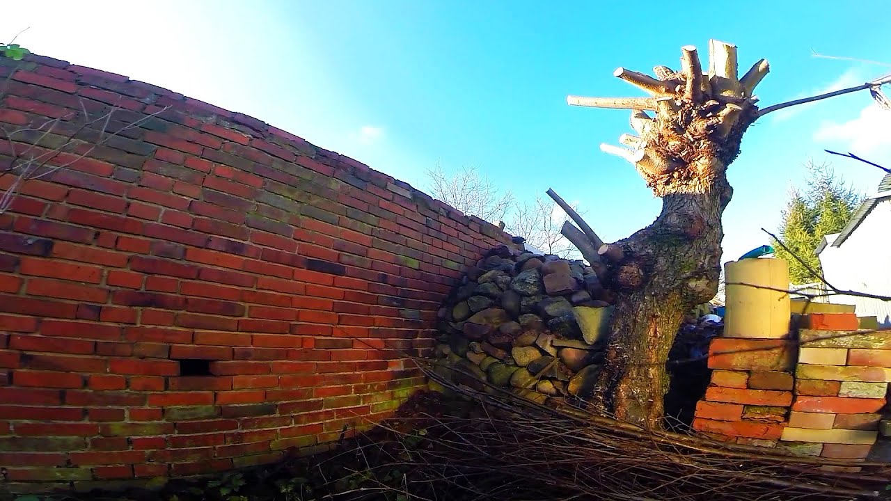 Dzień z życia rolnika S04E55 - ręczne wyrabianie drewna, drobnica do utylizacji, suszenie