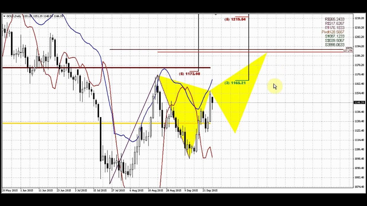Forex peace army kelvin lee