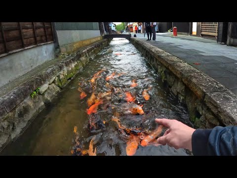 JAPAN'S DIVINES NEVER CEASE TO AMAZE!! fishing - Japan that no one shows