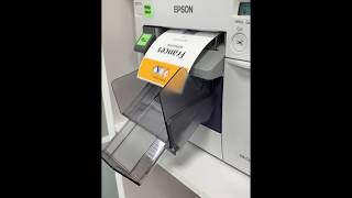 Epson C3500 In Action