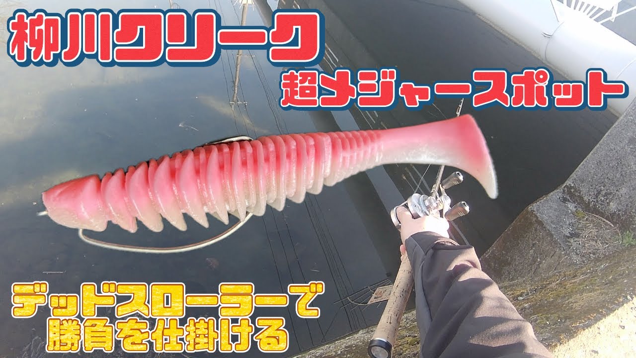 【バス釣り】デカバスのみを狙った釣り方で勝負したら・・